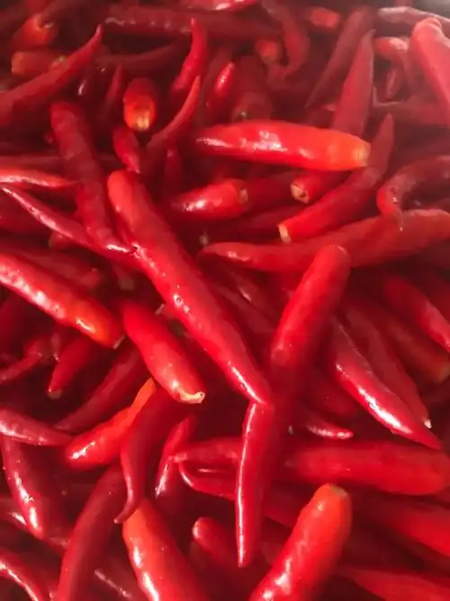 自制辣椒酱 #无辣不欢 #纯手工零添加 #美味下饭菜 #辣 - 抖音