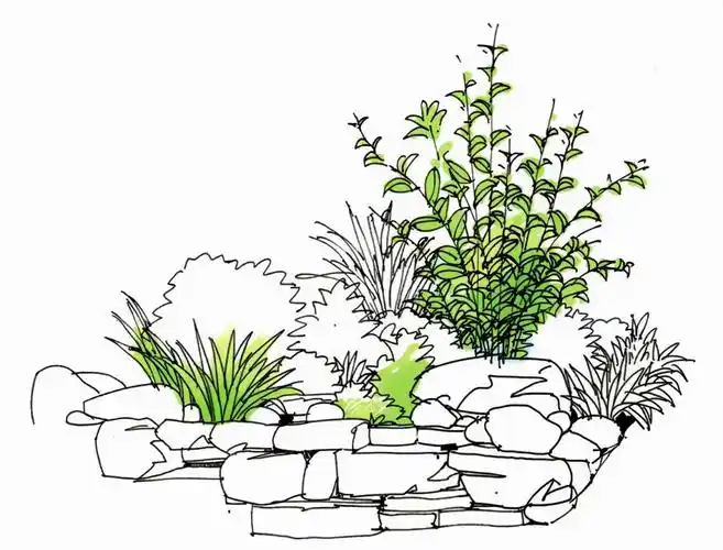 三,植物高低的变化