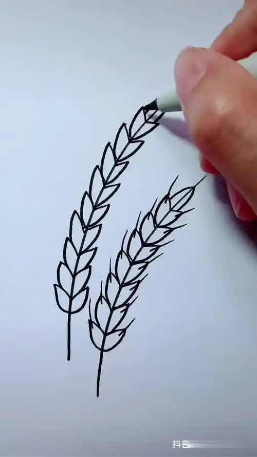 简笔画麦穗一起来画画 儿童简笔画教程-母婴亲子视频-搜狐视频