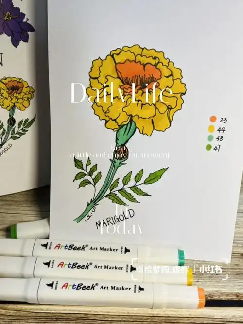 马克笔手绘花朵小史万寿菊