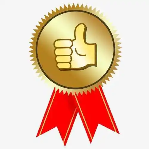 点赞行政审批服务窗口再获锦旗