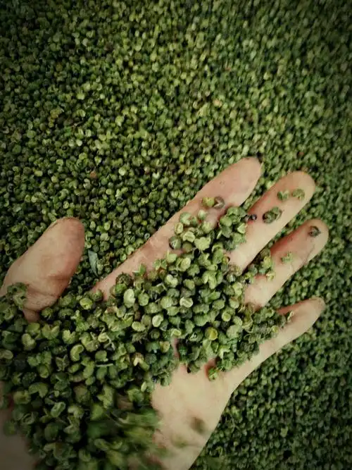 重庆江津青花椒500g