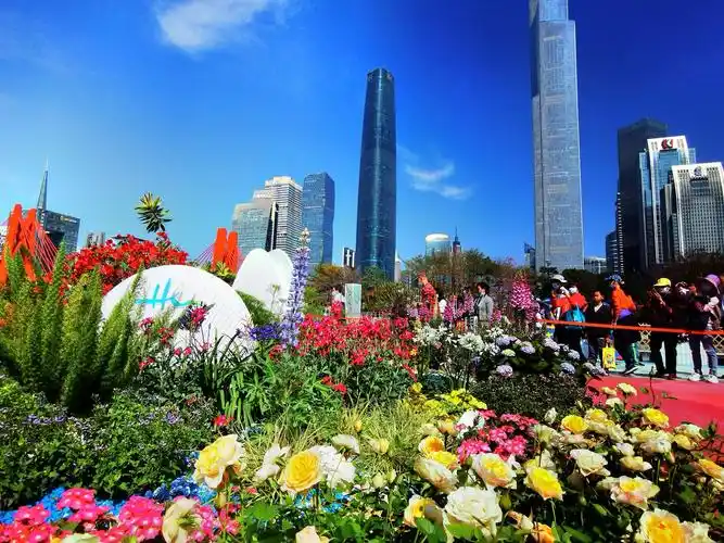 美丽花城,吉祥花城(手机版)