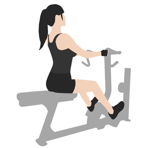 最适合健身房新手的上半身训练动作!给新手的健身房训练计划!