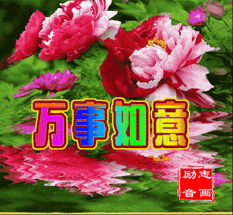 499_460gif 动态图 动图