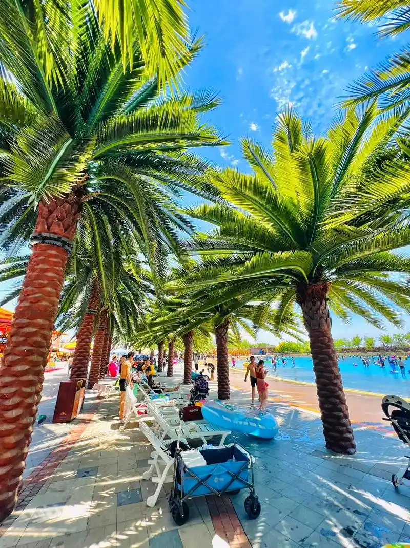 天津玛雅海滩水公园.#图文伙伴计划 #旅行推荐官 #亲子游玩 - 抖音