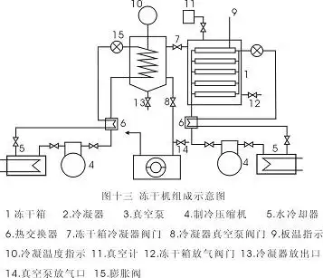 冷冻干燥技术原理