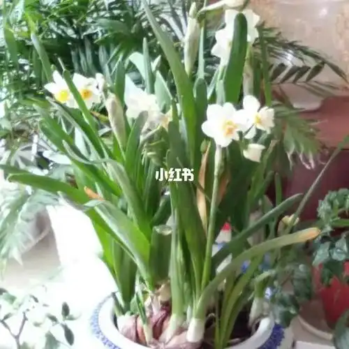 期待与您的重逢