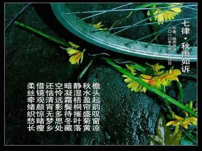 七律·秋雨如诉