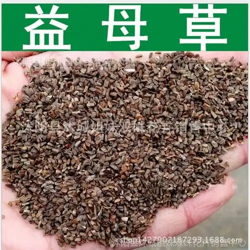 基地批发益母草种子中药材种子益母草种子出芽率高益母蒿 益母艾