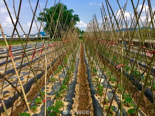 宝贝咱们去开心农场种菜吧