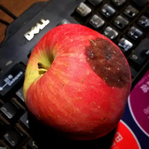 摄影日记一只烂苹果