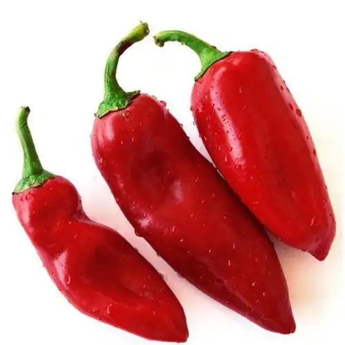 供应 新鲜长椒 红辣椒 辛辣蔬菜 泡椒