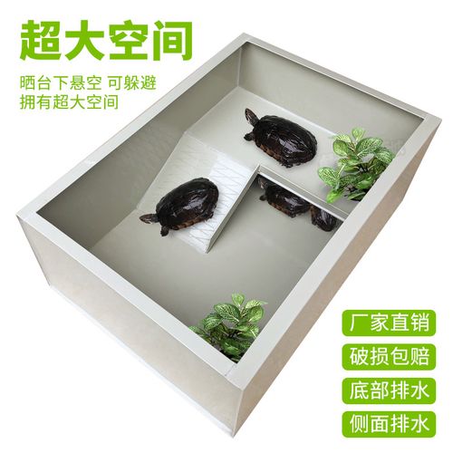 乌龟缸龟池