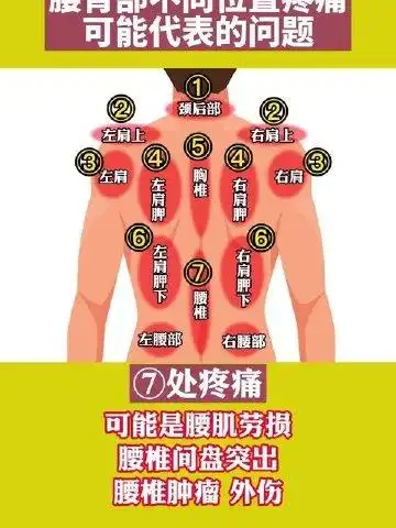 后背不同位置疼痛可能疼痛问题不一样