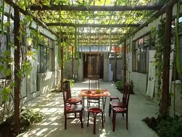 如果有一天,我老无所依,请把我留在天津农家院