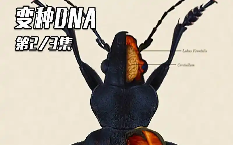 朝着人类进化的变异蟑螂!本是治疗的犹大却成为了袭击人类的怪物!