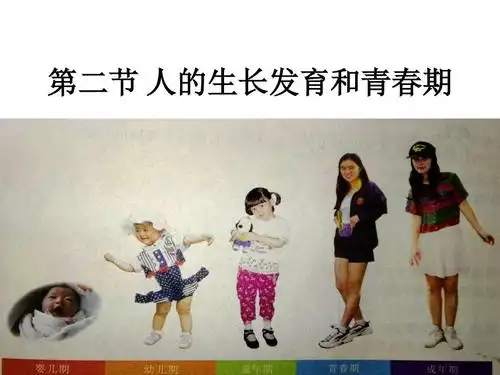 第二节 人的生长发育和青春期