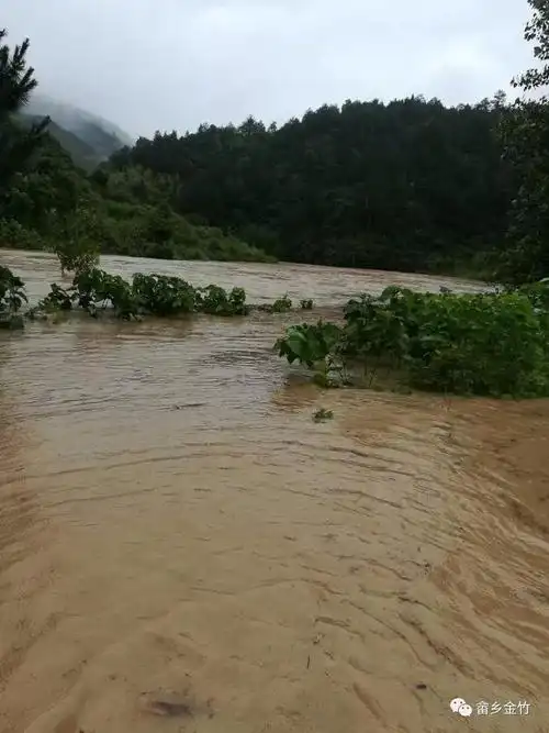 罕见特大暴雨侵袭金竹防汛救灾进行时