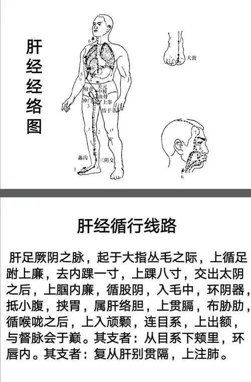 肝经易堵塞穴位的自我探查与疏通_路新宇"自我经络养护"系列公益课(45