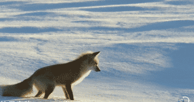 暴走漫画_gif怪兽最近热门帖子_暴走漫画_我们是尼玛们的忠实盟友