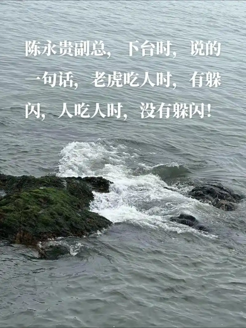 我要上热门97 #聆听大自然的旋律 纯红薯粉丝,质量保证假 - 抖音