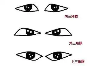 八字算学历高低 占星测配偶长相 紫微测事业运   内三角眼面相一般眦