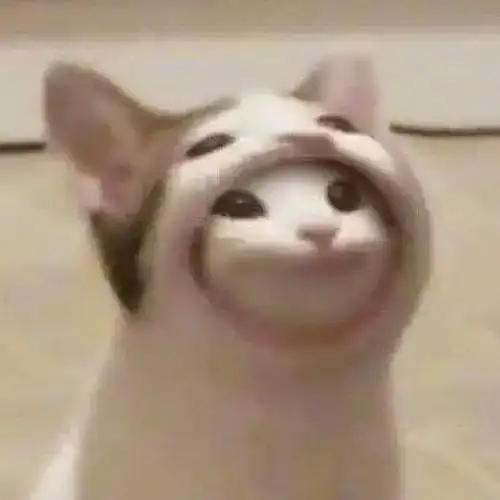 每次看到这只阿巴阿巴猫就会不由自主滴对自己啵啵