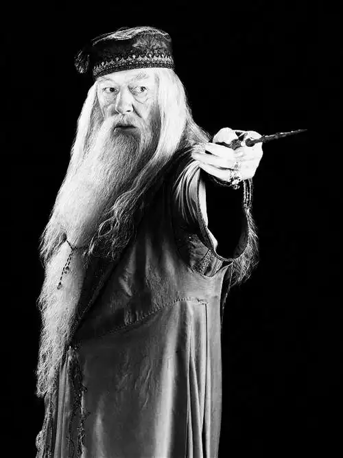 《哈利·波特》中的霍格沃茨魔法学校校长阿不思·邓布利多