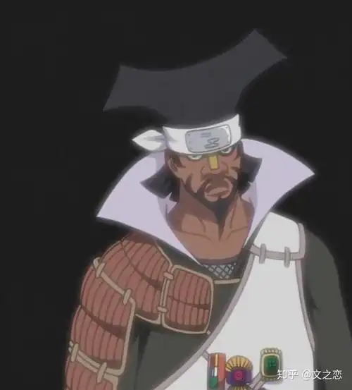 火影忍者历代影图鉴雷影