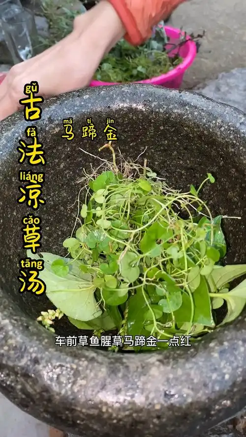 农村#农村里的凉草汤你们肯定没喝过?