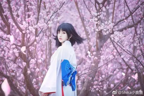 [cosplay] 式姐 fater 两仪式 亦如生与死