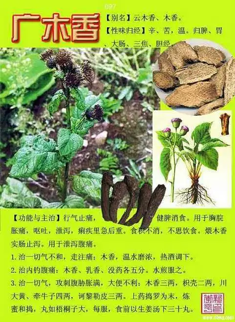 闲情雅趣.的美篇