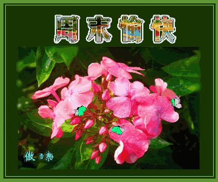 周末祝福照片朋友最美周末愉快问候照片快乐动态表情包