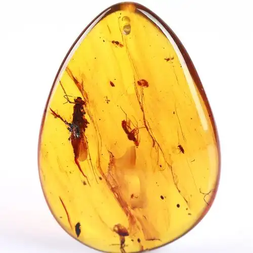 11.99克【强荧光】梦幻唯美琥珀虫珀挂件 内含稀有昆虫 749510