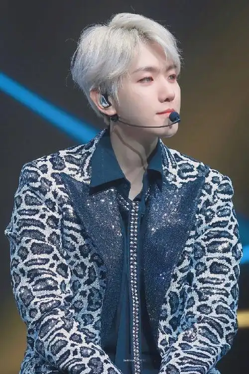 边伯贤#19111294 we are the future tour in 沃斯堡    银色小