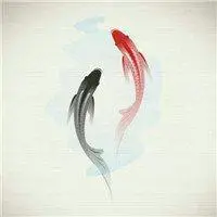 太极两仪头像图片大全_微信头像图片大全