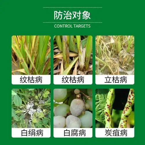 小麦纹枯病噻呋酰胺白粉锈病黑穗病水稻棉花立枯杀菌剂
