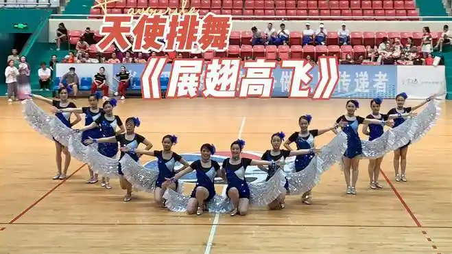 排舞《展翅高飞》流畅的12人队形变化-舞蹈视频-搜狐视频