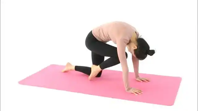 蓝菲瑜伽体式教学-虎式