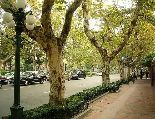 记录2005年的上海 12