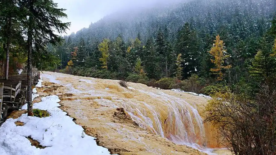 沟内布满乳黄色岩石,远望好似婉蜒于密林幽谷中的黄龙,黄龙沟名即来源