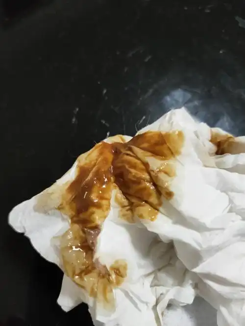 猫咪吐了褐色的呕吐物