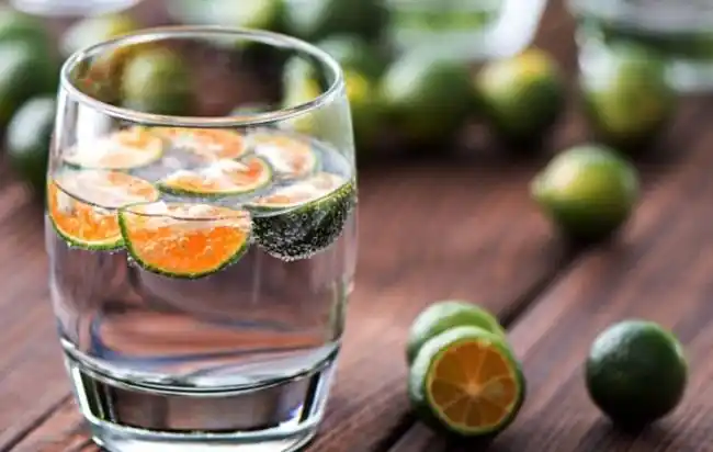 royalleerdam皇家利丹