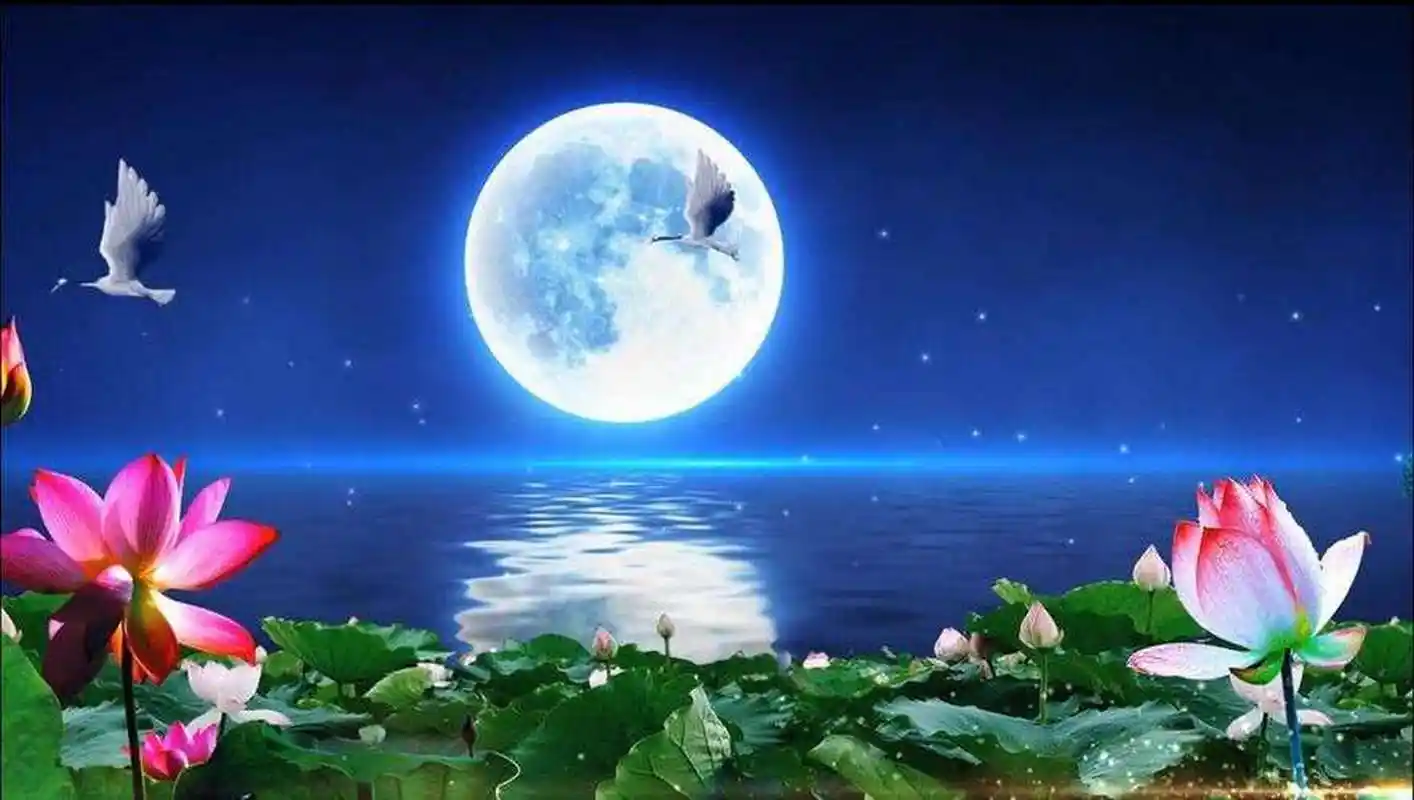 注释:一轮秋月一点不染尘世之气,那样的冰清玉洁.