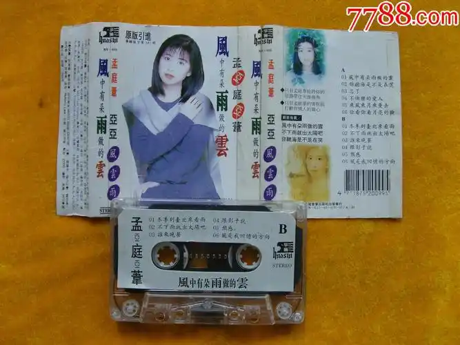 孟庭苇风中有朵雨做的云