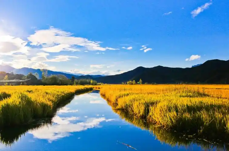 生活还有诗和远方