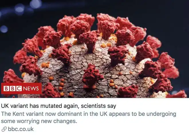 "令人担忧",新冠病毒可能更狡猾了|汉考克|毒株_网易订阅