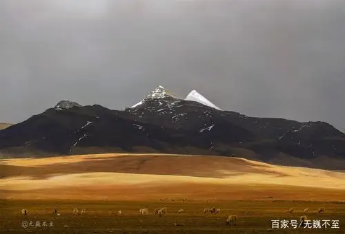 你是雪域最大的王——神山之王冈仁波齐