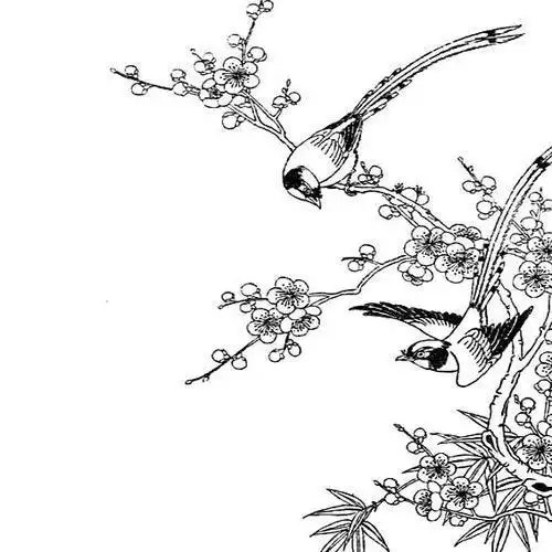 简单的花鸟简笔画